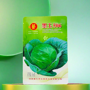 豫艺墨玉506甘蓝种子 早熟耐热圆包菜莲花白秋甘蓝种子2000粒