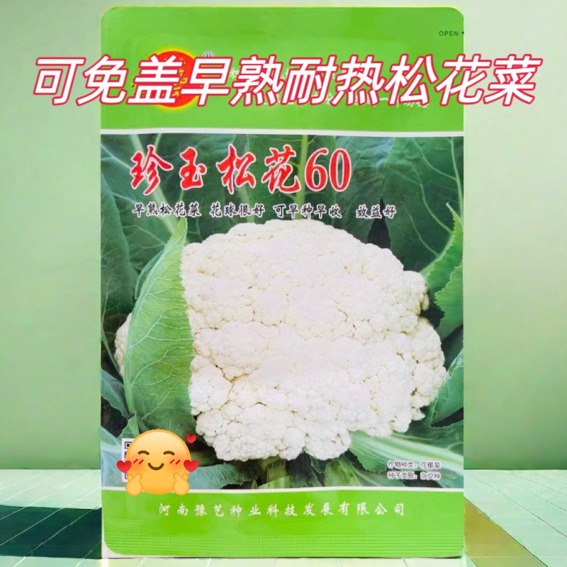 珍玉松花60菜花种子青梗早熟免盖球耐寒花椰菜耐热耐湿高产抗病