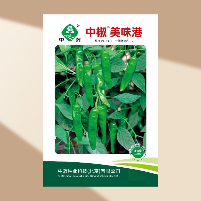 中椒美味港辣椒种子 春播中早熟蔬菜种子/种苗