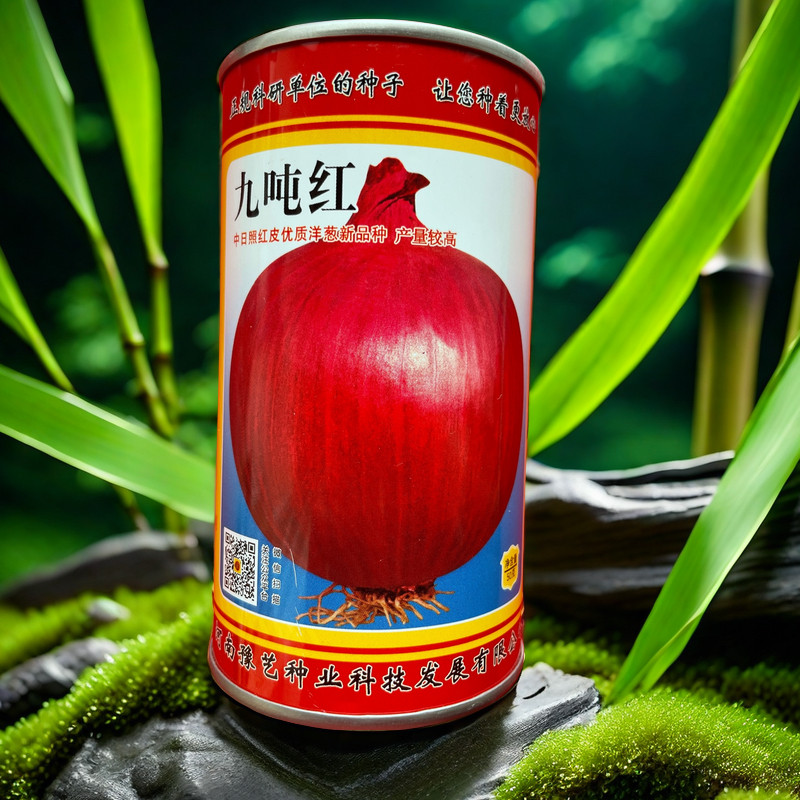 九吨红洋葱种子 抗病紫色洋葱种子 晚熟高产大球型蔬菜种子50g