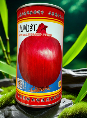 九吨红洋葱种子 抗病紫色洋葱种子 晚熟高产大球型蔬菜种子50g