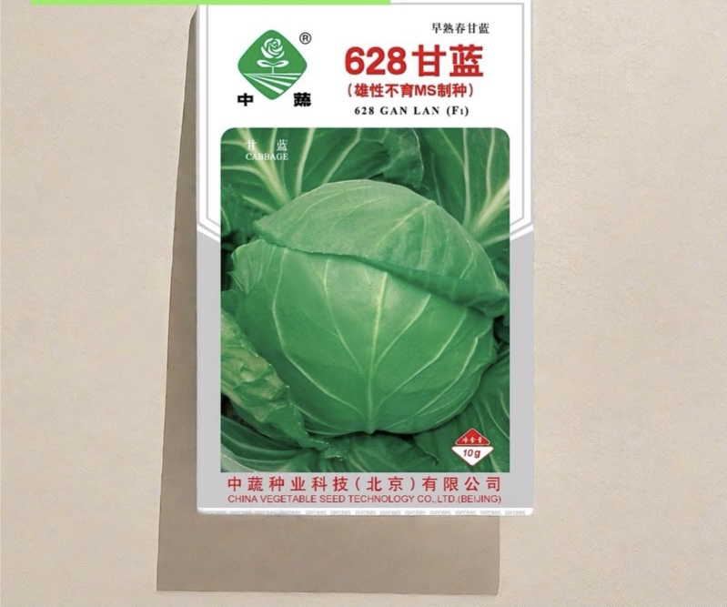 中甘628甘蓝种子 早熟春甘蓝 大面积种植圆白菜莲花白蔬菜籽中蔬