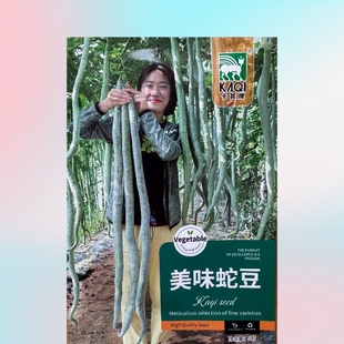 美味蛇豆种子/奇花异果种子 盆栽观赏蔬果种子 蔬菜种子5粒