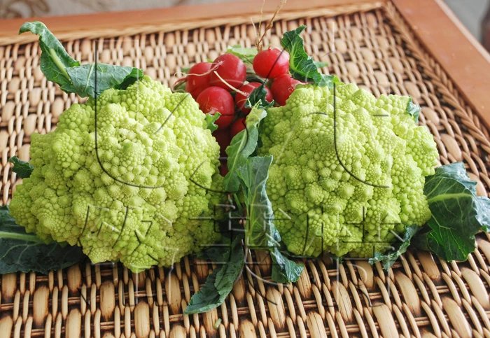 绿妃宝塔菜种子神良宝塔花椰菜种子罗马富贵塔食用观赏蔬菜种子2g