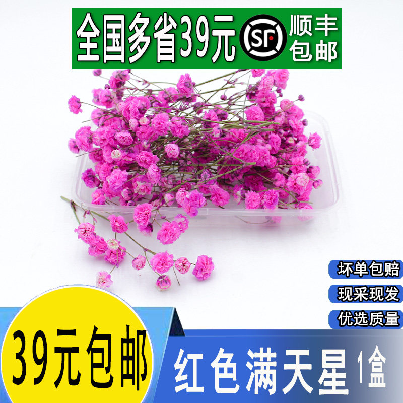 新鲜红色满天星摆盘日料装饰点缀图片