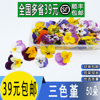 新鲜三色堇摆盘装饰鲜花