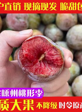 正宗嵊州桃形新鲜四川李子