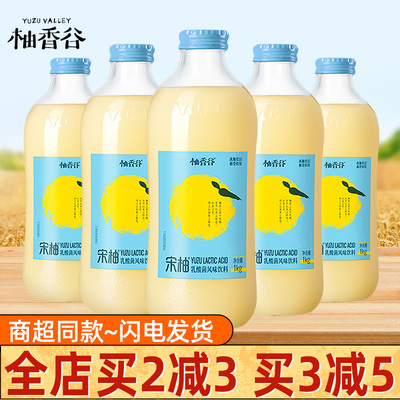 柚香谷宋柚双柚子整箱瓶装饮料常山胡柚乳酸菌风味大瓶饮料1kg