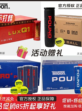 天龙网球P4P3胶罐比赛训练球Q1铁罐高弹耐磨专业POUND人气网球