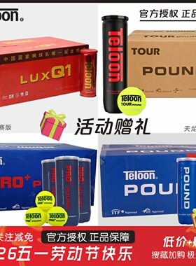 天龙网球P4P3胶罐比赛训练球Q1铁罐高弹耐磨专业POUND人气网球