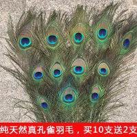 Natural real peacock feathers, big eyes, living room ornaments, vases, flower arrangements, diy accessories, peacock feathers thumbnail 7