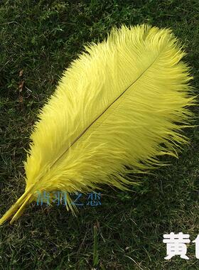 黄色鸵鸟毛羽毛 婚礼婚庆装饰羽毛舞蹈表演出服装头饰手工DIY配件