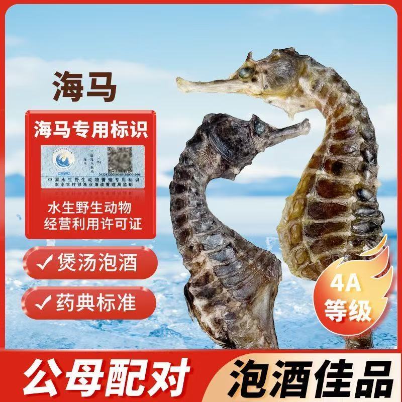 海马干货正品溯源大海马公母配对滋补煲汤泡酒料儿童汤包海龙礼盒