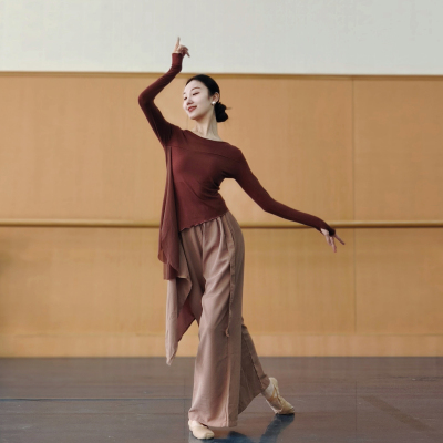 古典舞舞蹈服上衣秋冬长袖飘纱身韵现代舞女成人练功形体服民族舞