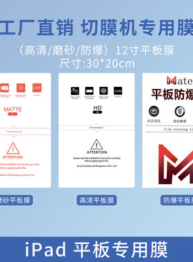 展望兴高清磨砂iPad12寸平板膜