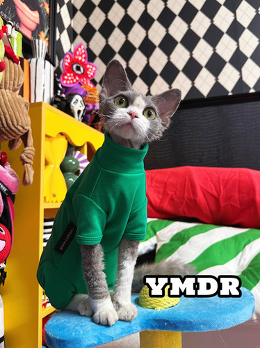 YMDR德文四脚衣彩色保暖高领打底