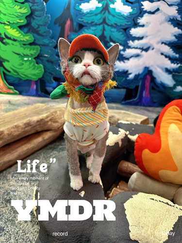 YMDR春夏款德文衣服德文帽子网红围巾帽蔬菜粘粘乐造型胸背四脚衣