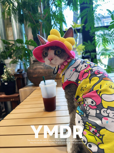 YMDR德文衣服三丽鸥背心渔夫帽