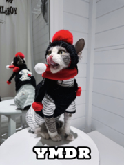 YMDR德文猫衣服无毛猫衣服原创史努比纯棉条纹四脚两脚衣可爱马甲