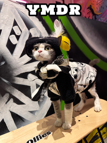 YMDR德文衣服德文帽子无毛猫衣服秋冬加绒T恤COS海盗船长网红潮酷