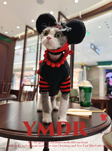 YMDR保暖四角衣可爱圣诞米奇套装