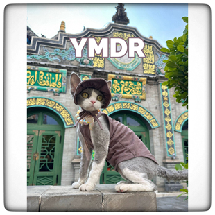 YMDR妖喵大人夏季纯棉猫衣服 纯棉柔软透气彩点吊带 可爱遮阳帽