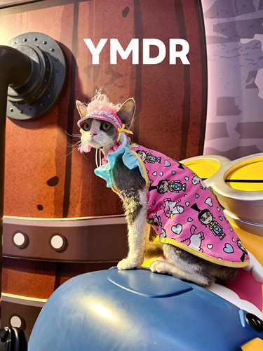 YMDR原创粉独角兽猫咪吊带背心