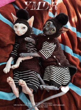 YMDR德文衣服无毛猫秋冬保暖黑白条纹套装可爱漏耳帽时尚猫咪衣服