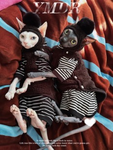 YMDR德文衣服无毛猫秋冬保暖黑白条纹套装可爱漏耳帽时尚猫咪衣服