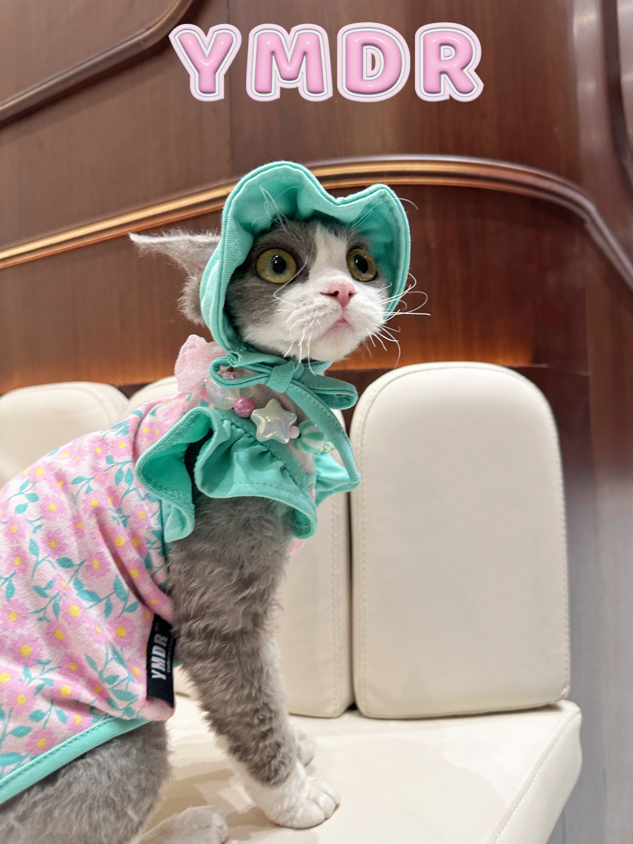 YMDR德文猫帽子夏季清爽飞袖吊带