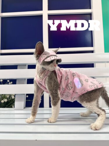 YMDR德文衣服棒球帽清凉防晒吊带