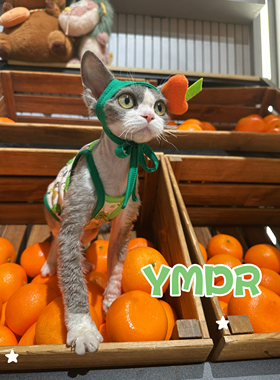 YMDR德文猫帽子无毛猫衣服德文衣服夏季凉感衣清爽吊带可爱造型帽