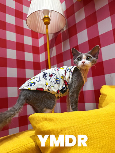 YMDR猫咪衣服防晒卡通吊带居家服