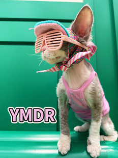 YMDR德文猫防晒帽子无毛猫衣服夏季莫代尔吊带潮酷粉绿村花GD帽子