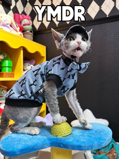 YMDR德文猫无毛猫帅气休闲背心 夏款纯棉面料 猫咪棒球帽 领结