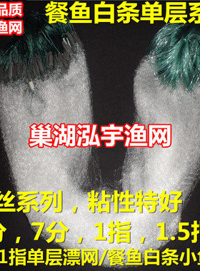 柔丝白条小鱼网单层渔网粘网泓宇