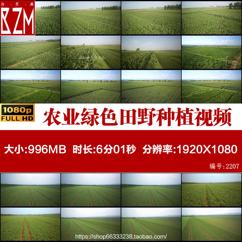 J004航拍农业绿色田野种植蔬菜田园玉米地庄稼地高清实拍视频素材,商务/设计服务,设计素材/源文件,淘宝优惠券,粉丝福利购,淘宝优惠卷