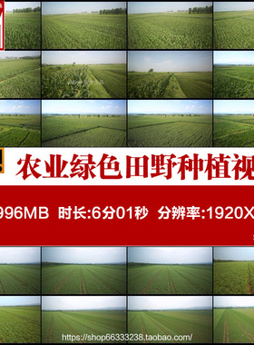 J004航拍农业绿色田野种植蔬菜田园玉米地庄稼地高清实拍视频素材