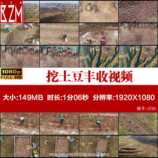 航拍宁夏固原西吉县黄土高原梯田农民种植挖土豆丰收实拍视频素材