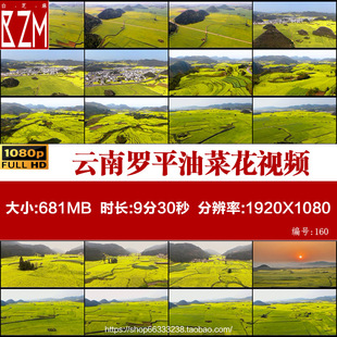 云南罗平山谷中的油菜花田罗平万亩油菜花花海金鸡实拍视频素材