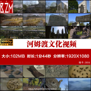 浙江宁波河姆渡文化遗址博物馆视频 原始古壁画图腾 实拍视频素材