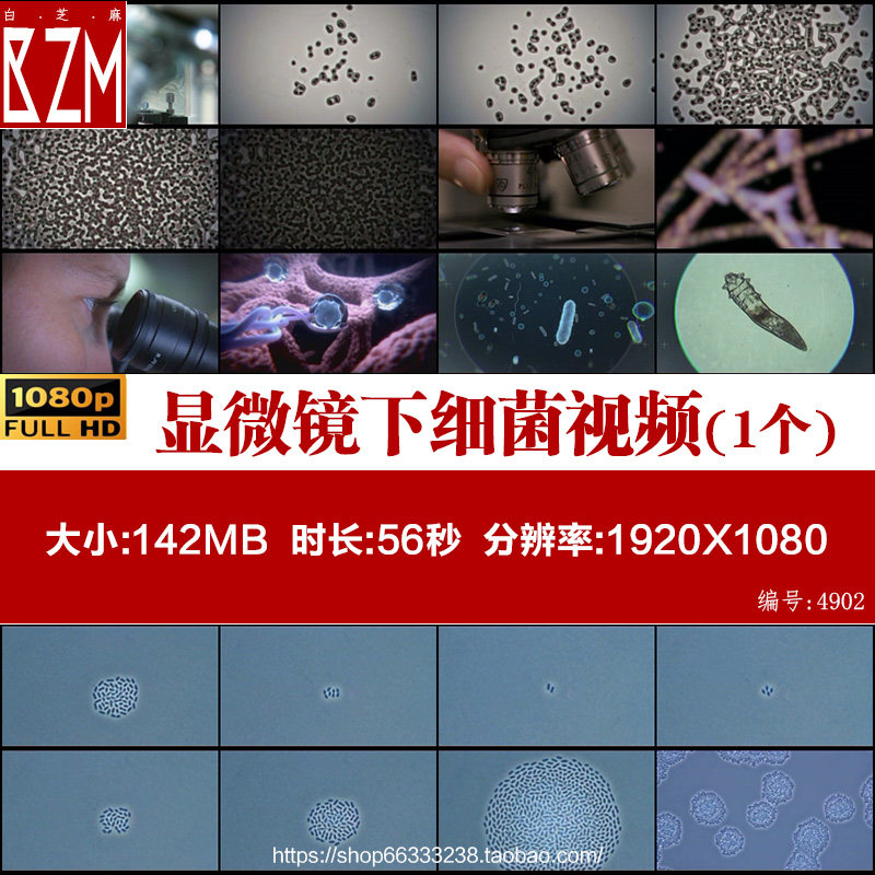 显微镜下细菌活动细胞分裂衣原体支原体微生物医学视频素材,商务/设计服务,短视频制作,淘宝优惠券,粉丝福利购,淘宝优惠卷