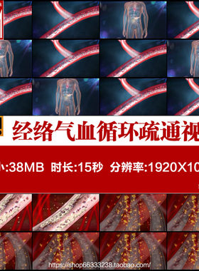药物推动经络气血循环疏通血管净化血液三维免疫净化透析视频素材