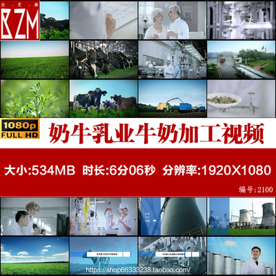 J012奶牛乳业牛奶加工生产线玉米地种植苜蓿草场高清实拍视频素材