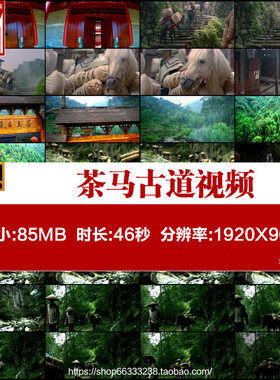 茶马古道茶马古道马帮山路上山茶叶茶园采茶春茶明前茶视频素材