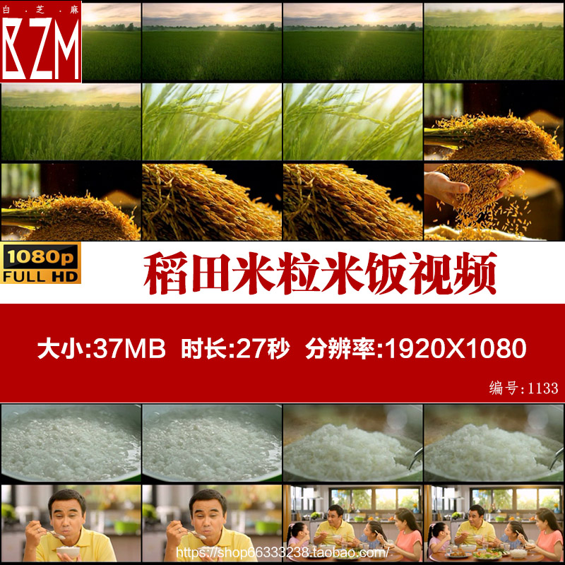 J052有机农业稻田水稻稻谷手捧米粒香喷喷白米饭大米煮饭视频素材