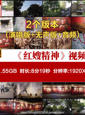 红嫂精神牺牲奉献沂蒙山战争英雄抗日抗战解放战争背景视频素材