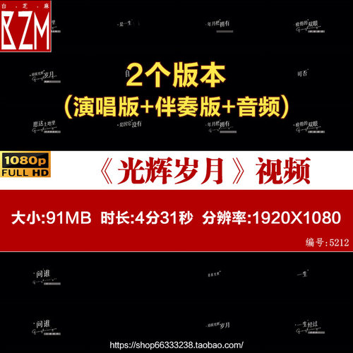 光辉岁月黄家驹beyond歌词排版livehouse手机灯网易云反差互动
