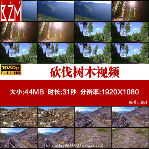 F3 破坏自然生态环境砍伐树木视频素材