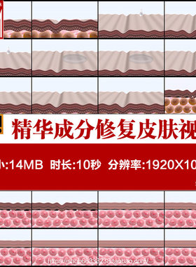 精华成分修复粗糙皮肤动画视频素材化妆品医学玻尿酸真皮细胞代谢